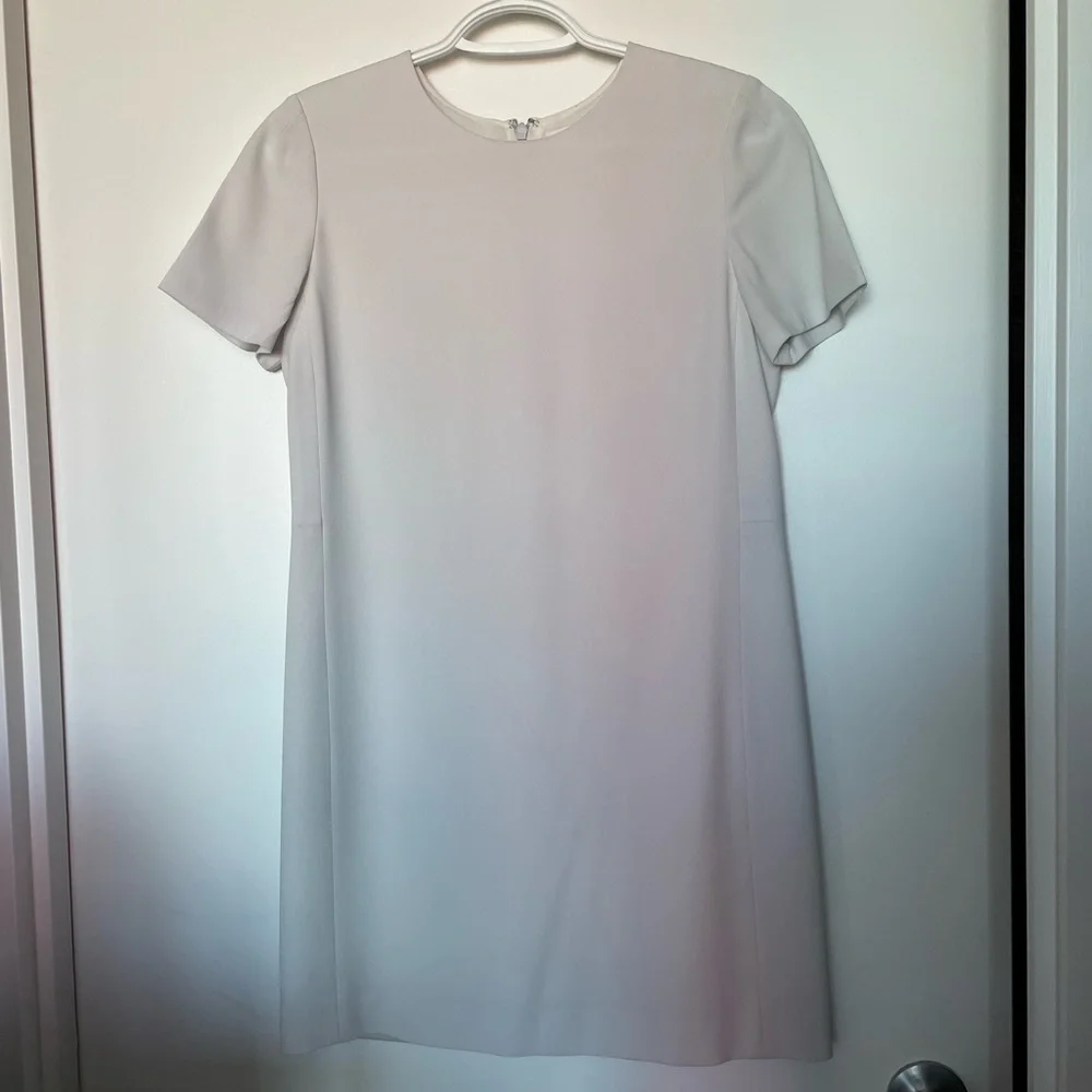 Babaton Patricio Dress - Aritzia - Picture 5 of 5
